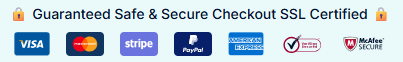 Secure Payment Gateways